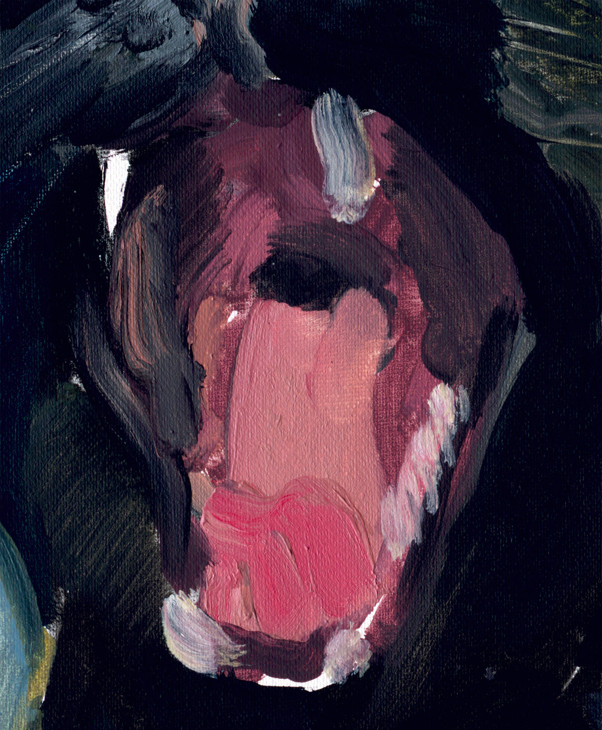 Längste Seite unter 50cm (20in)