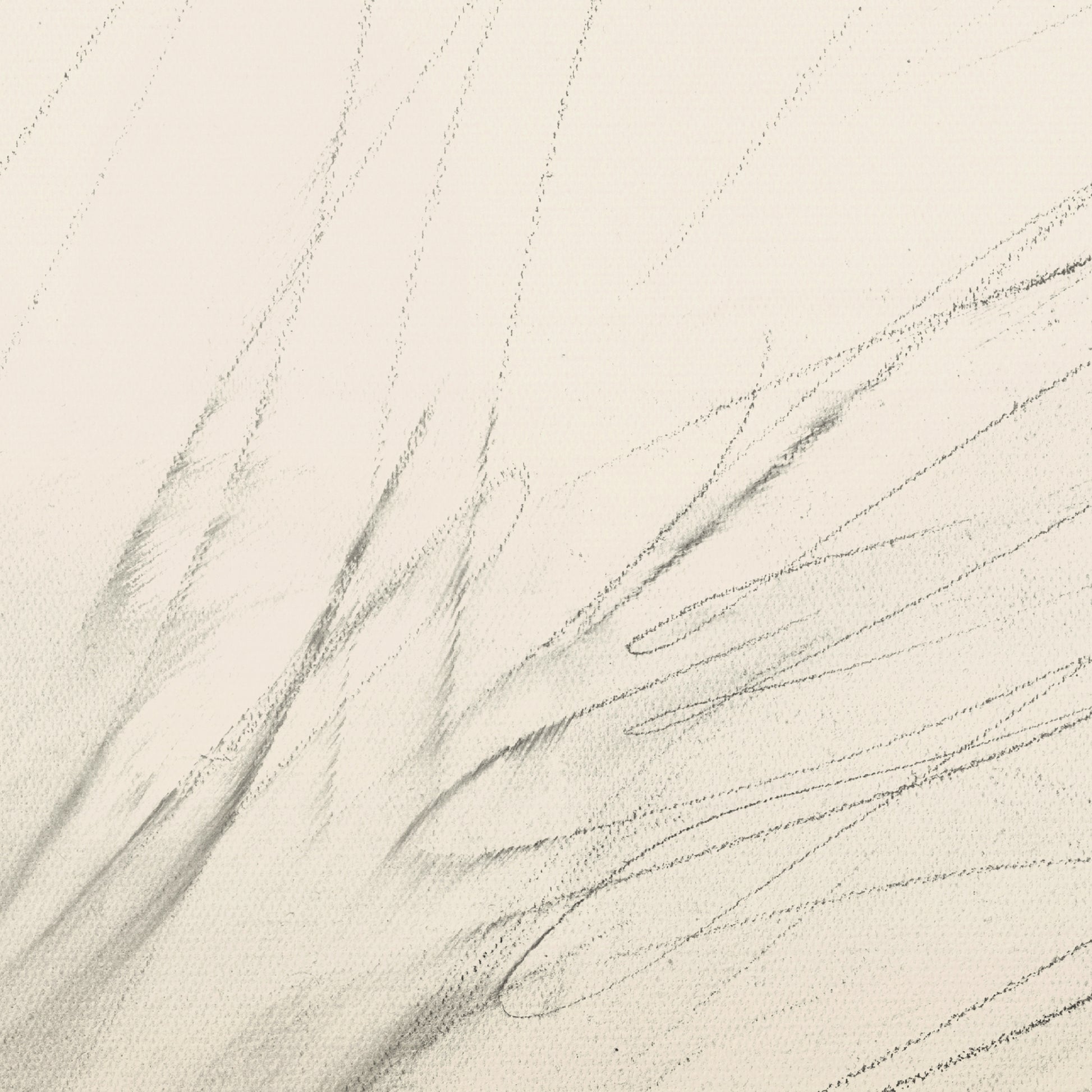 Black lines – Bold Abstract Canvas Print | Large Luxury Wall Art