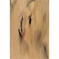 Abstract painting with brown and black brush strokes on a beige background Field Yellow 2 – Landscape Canvas Wall Art | Premium Luxury Print | Brume Art