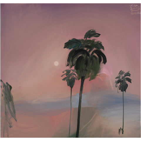 palm tree