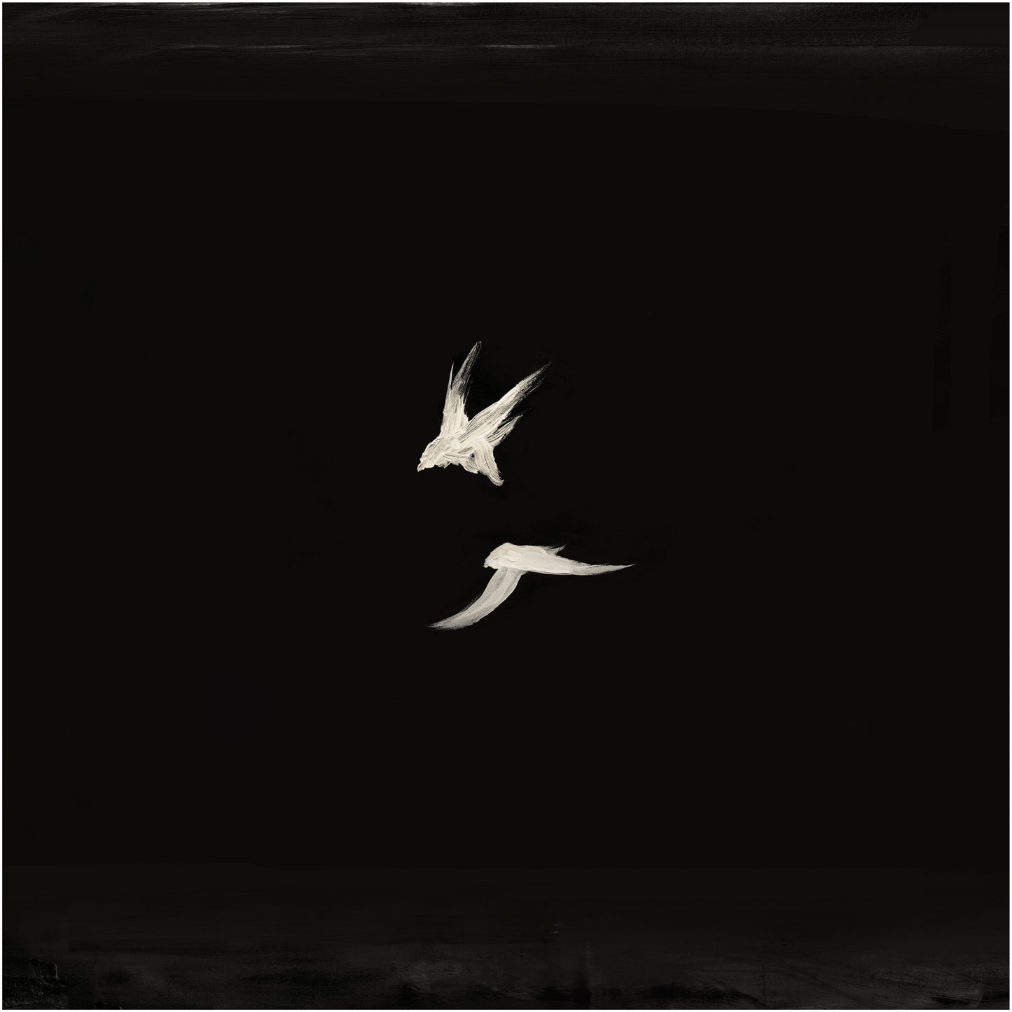 Two white birds flying against a black background Bird 2 – Elegant Nature Canvas Print | Luxury Wall Art | Brume Art