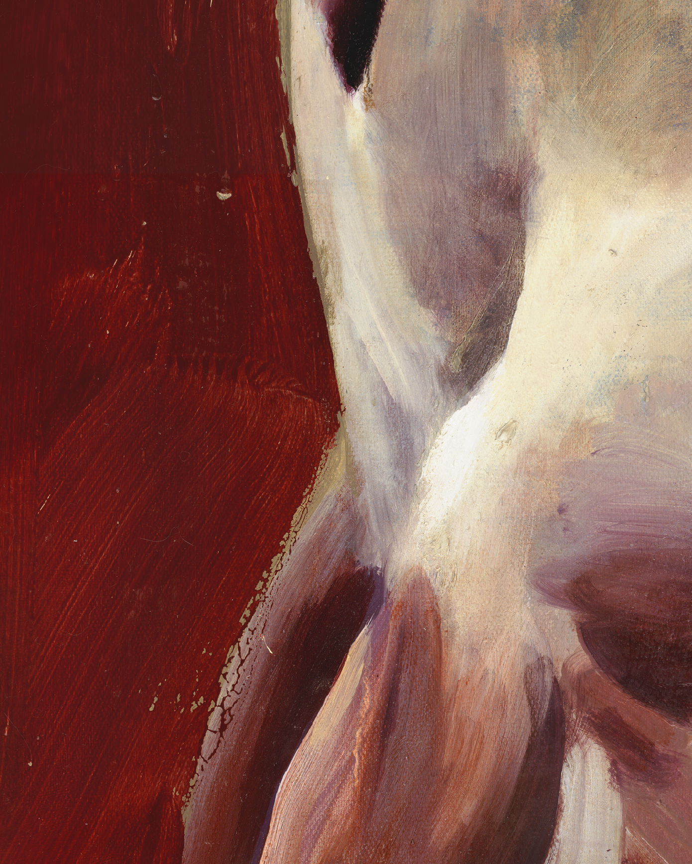 Painting of a dog standing on its hind legs against a red background Suspension – Nature Canvas Wall Art | Large Luxury Print | Brume Art | Luxury Wall Decor | Large Canvas Wall Art | Oversized Wall Hanging-Brume art