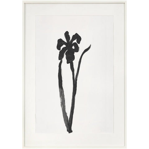 black blossom