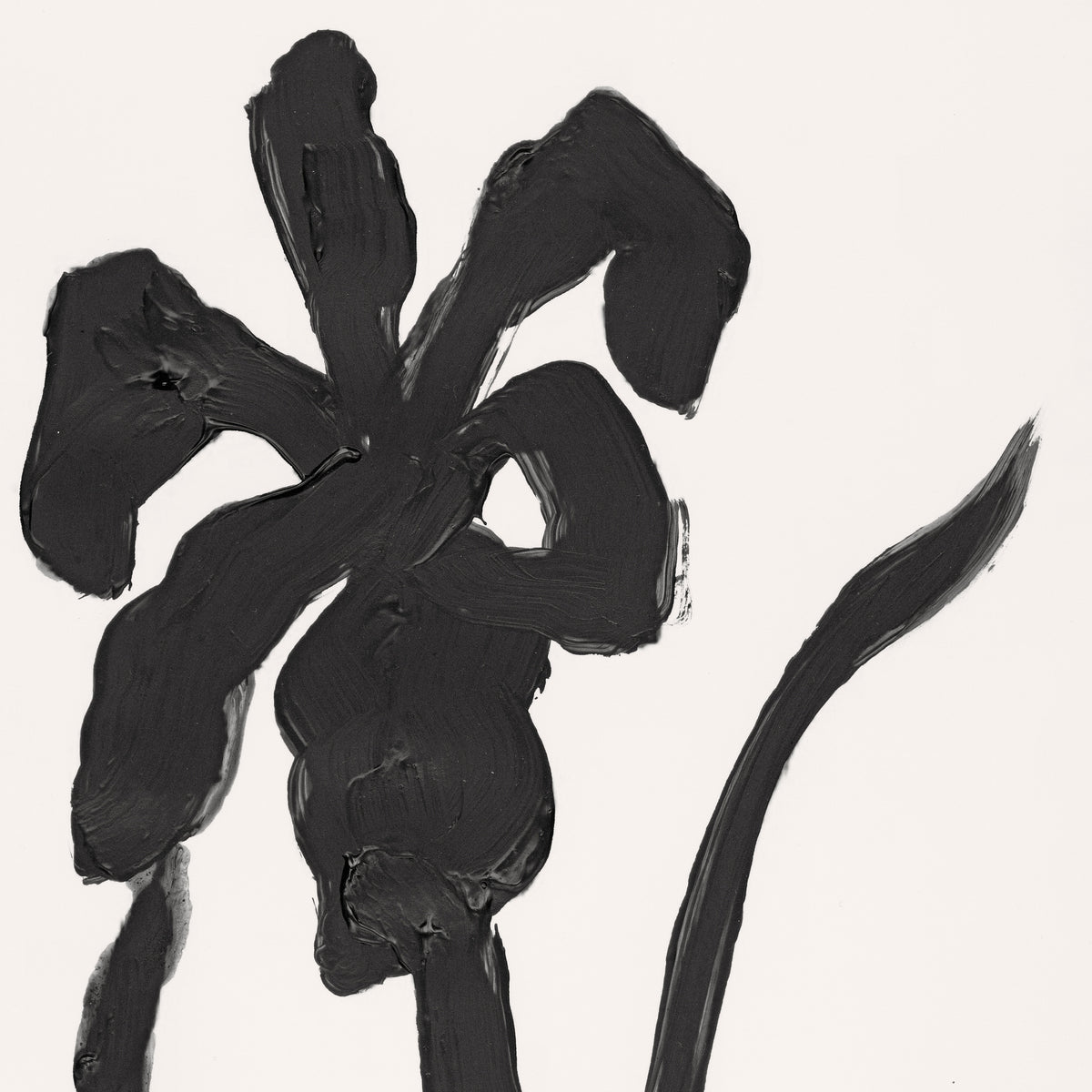 Blossom