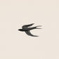 Black and white illustration of a bird on a beige background Birds – Nature Canvas Wall Art | Large Luxury Print | Brume Art