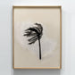 A framed abstract art print featuring a black brushstroke palm frond on a textured beige and white background, enclosed in a light wood frame and mounted on a white wall.