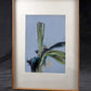 Framed artwork of a plant against a blue background Orchid – Botanical Canvas Wall Art | Large Luxury Print | Brume Art