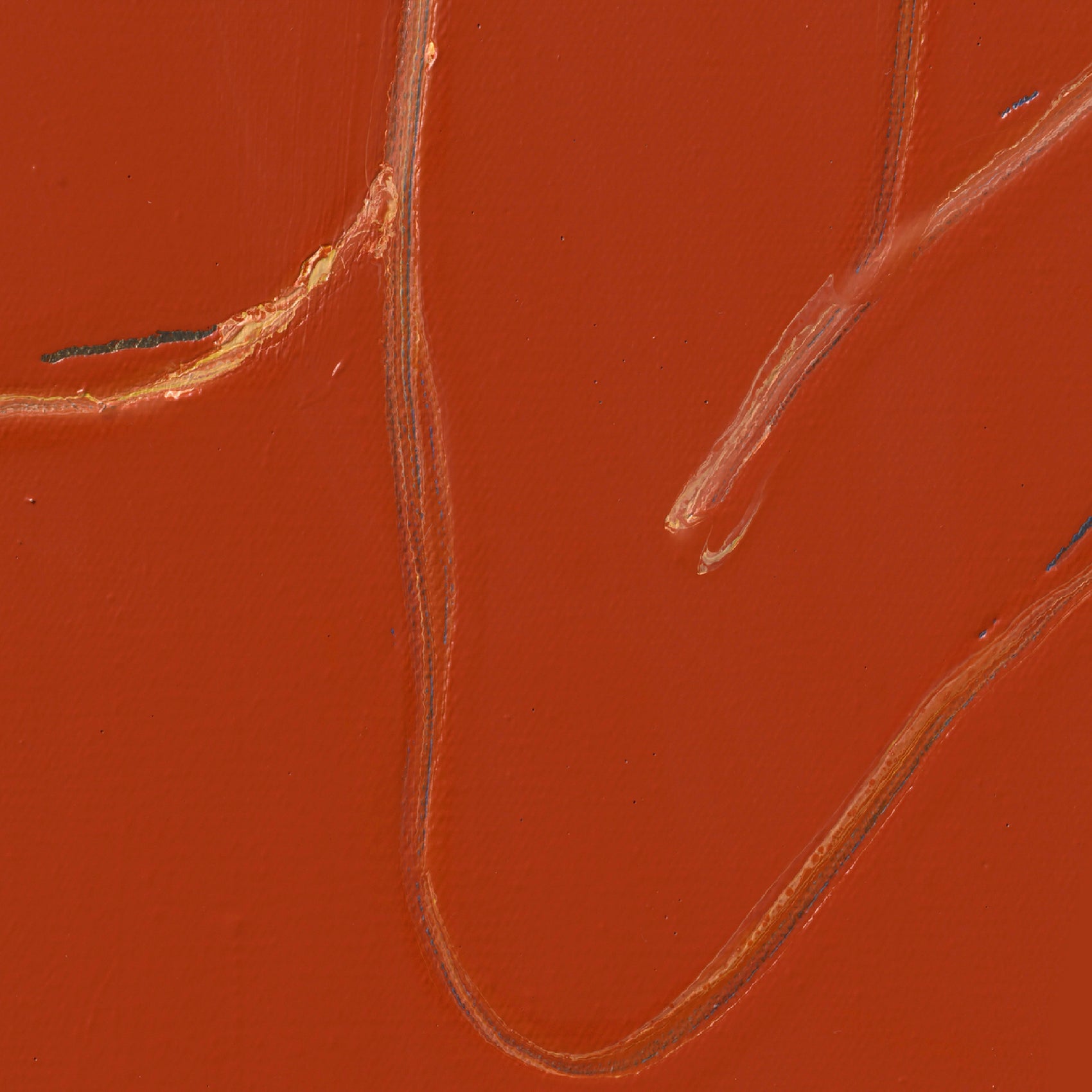 Close-up of a textured red surface with brown lines Presence 2 – Figurative Abstract Canvas | Premium Wall Art | Brume Art