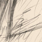 Pencil sketch of a plant with long leaves on a beige background Silhouette Sketch – Figurative Sketch Canvas Print | Luxury Wall Art | Brume Art