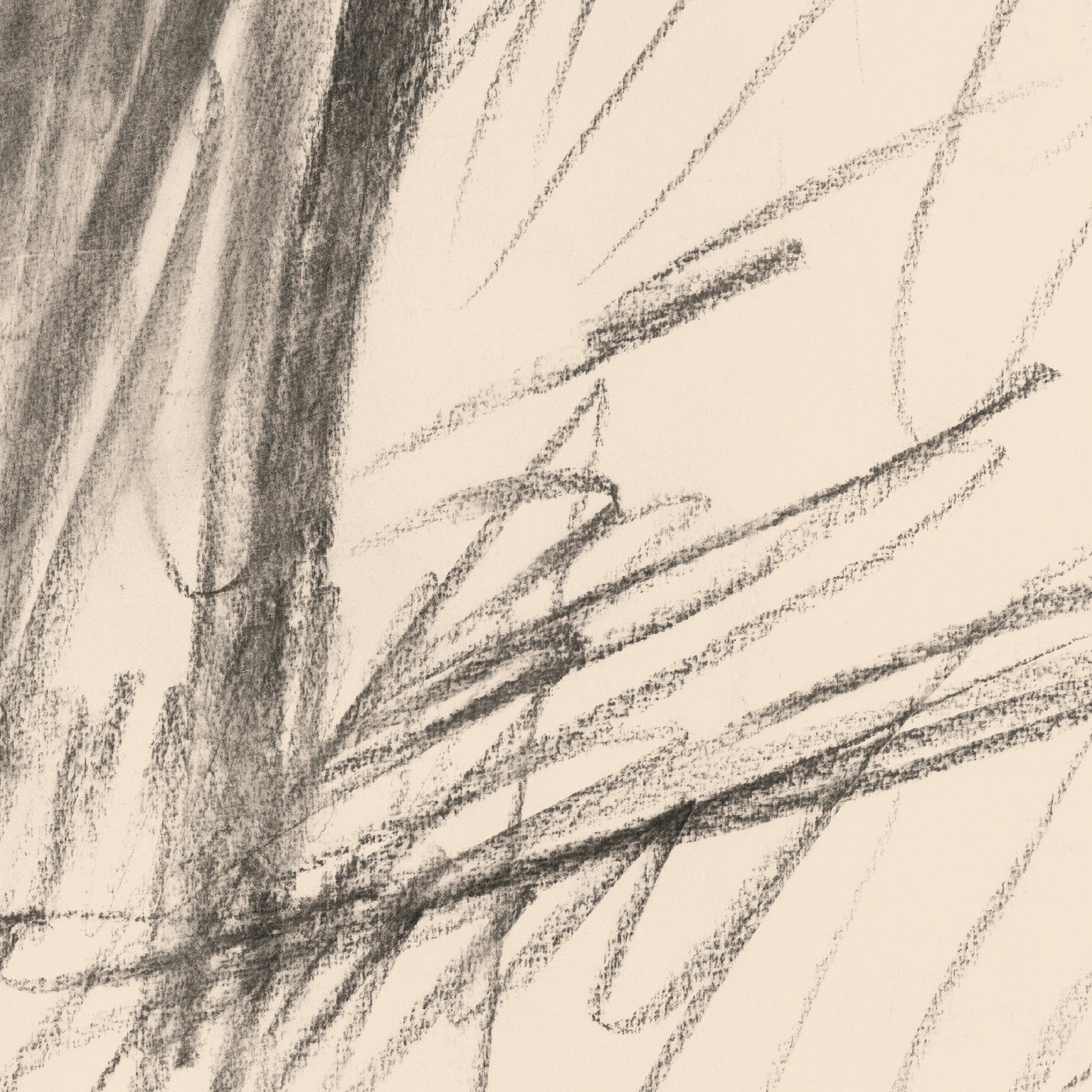 Pencil sketch of a plant with long leaves on a beige background Silhouette Sketch – Figurative Sketch Canvas Print | Luxury Wall Art | Brume Art