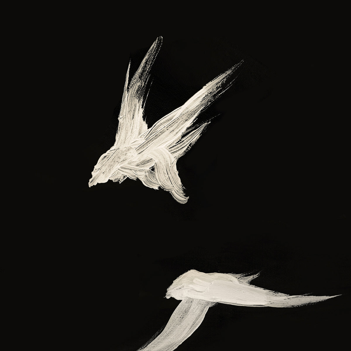 Birds 2